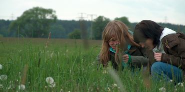 To the page:Lehramt Biologie vertieft (in German)