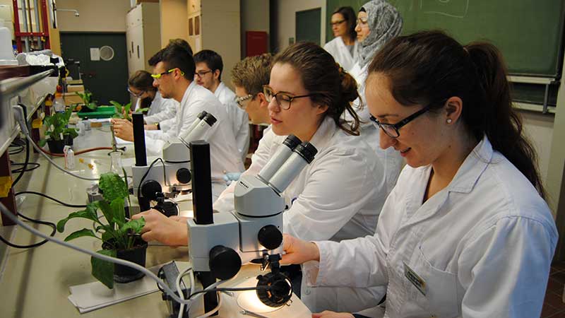 Martin Klingler Department Of Biology