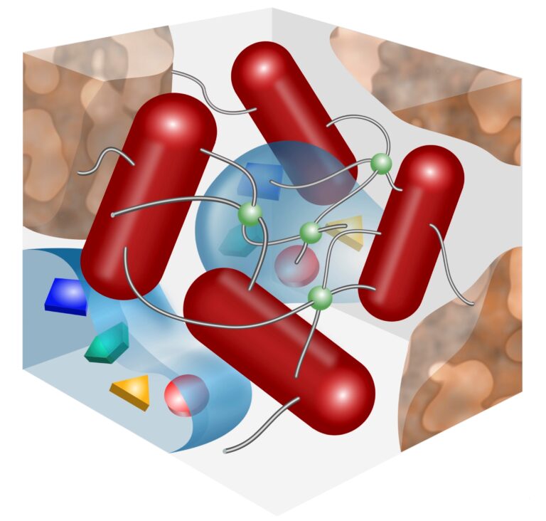 How bacteria actively use passive physics to make biofilms