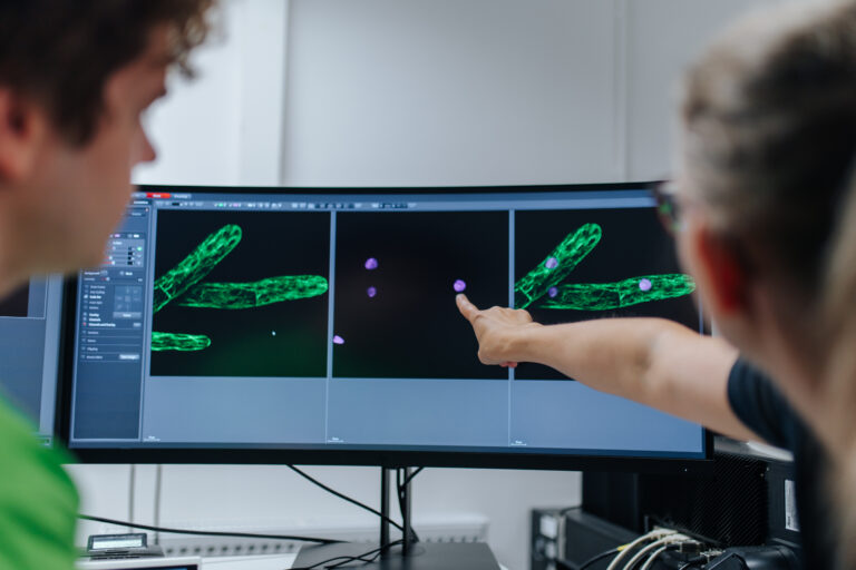 Featured image for Research focus